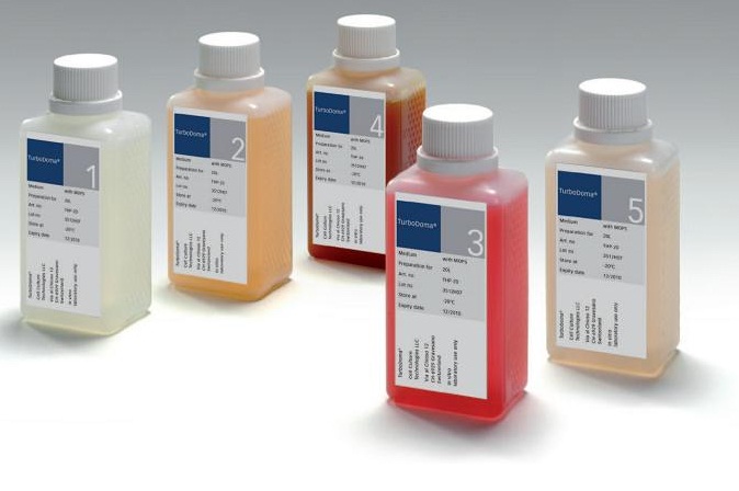TurboDoma 雜交瘤培養基