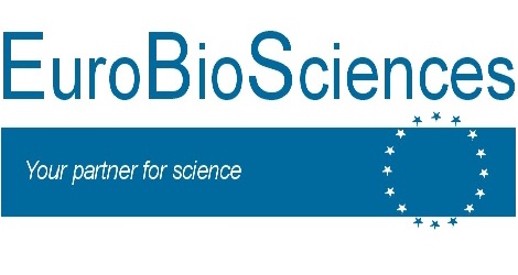 Mouse IgG2b Isotype Control