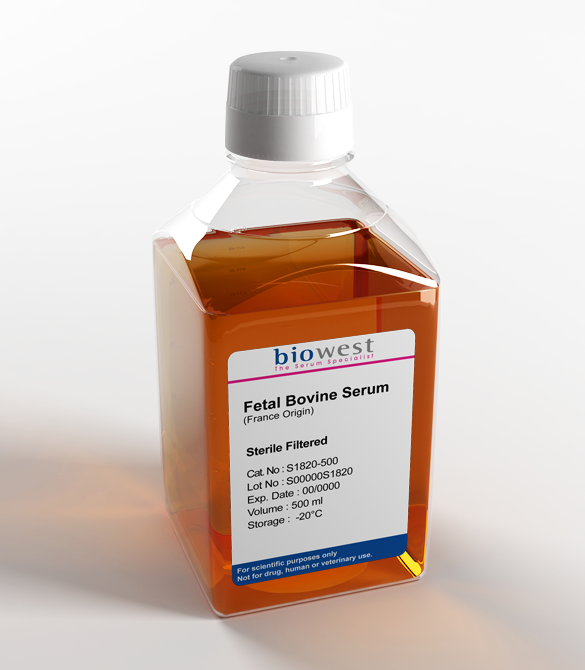 Fetal Bovine Serum(France Origin)