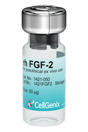 Preclinical rHu FGF-2